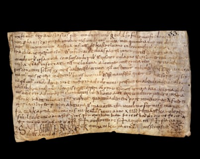 Sale to Radulf, son of Count Guifré I el Pelós (Wilfred I the Hairy), of a vineyard located in th?