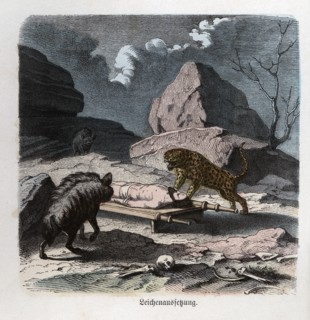 Ancient History. Persia. Abandonment of a corpse to the beasts. German engraving, 1865.