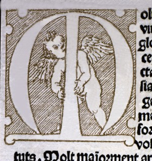 Initial Letter of the dedicatory <Molt exelent virtuos e glorios.> pertaining to the work 'Tirant?