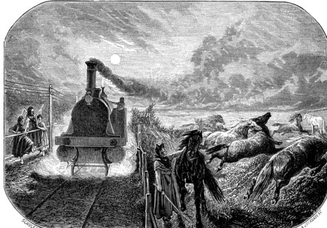Stampede of horses when passing a steam train in the Alsace region, drawing engraved by M. Schule?