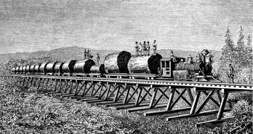 Steam train carrying trunks of giant trees in California, engraving of 1886.