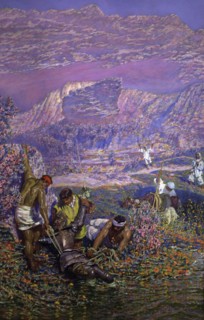 Out of the water' (part 2, chapter 29), episode of Don Quixote, character of Miguel de Cervantes ?