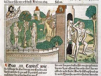 Engraving showing Adam and Eve in paradise, scene in the Bible of Nuremberg, German edition 1483.