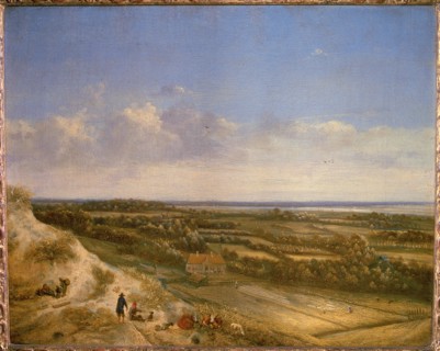 View of Haarlem from the dunes.