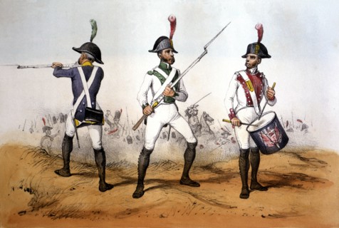 Reign of Charles IV, Infantry, 1805. Line regiment and battalions of light troops: Soldiers and D?