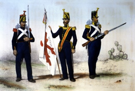 Reign of Ferdinand VII. 1808-1833. Infantry, 1824, infantrymen: Grenadier, Fusilier and Standard ?