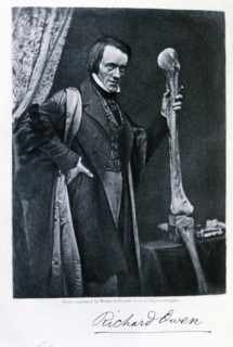Richard Owen (1804-1892), English zoologist and anatomical, curator of the Royal College of Surge?
