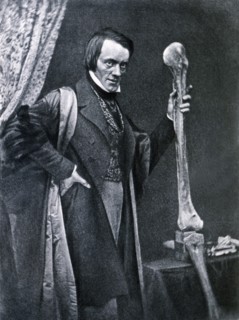 Richard Owen (1804-1892), English zoologist and anatomical, curator of the Royal College of Surge?
