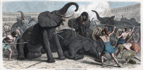 Combat between gladiators and circus elephants, engraving 1862.