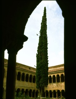 Detail of the cloister of the Monastery of Santo Domingo de Silos.