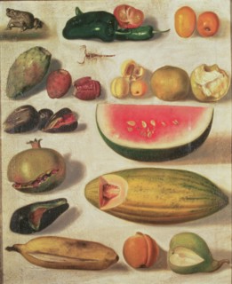 'Still Life with Fruit and Toad', oil by Hermenegildo Bustos.
