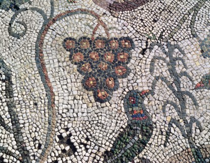 Mosaic in the Amphitheatre house representing a cluster of grapes and a bird, preserved in the ar?