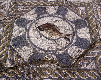 Mosaic in the dining room of the Amphitheatre house representing a fish, preserved in the archaeo?