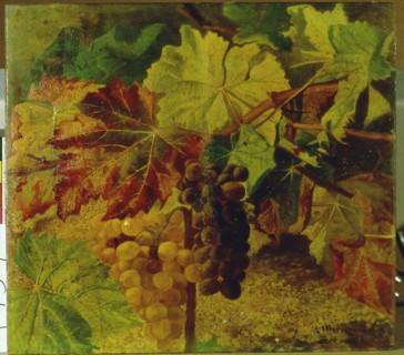 'Grapes'  by Josep Mirabent.