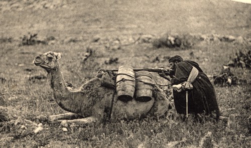 Postcard. War of Africa. Tamasusin occupation. Arabian camel driver shooting at enemy, 1923.