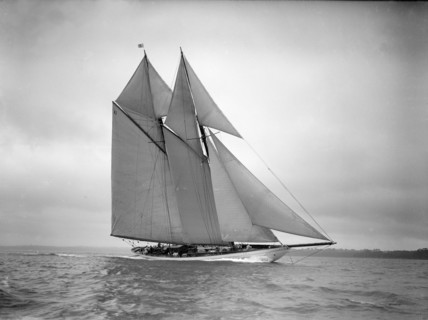 The 250 ton schooner 'Germania' sails close-hauled, 1911. Creator: Kirk & Sons of Cowes.