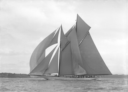 The 250 ton schooner 'Germania' sails downwind under spinnaker, 1911. Creator: Kirk & Sons of Cowes.