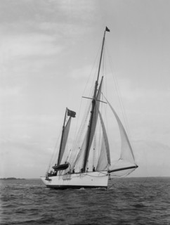 The 167 ton ketch 'Anemone' under sail, 1922. Creator: Kirk & Sons of Cowes.