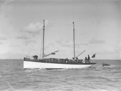 Motor yacht 'Neva' under way, 1911. Creator: Kirk & Sons of Cowes.