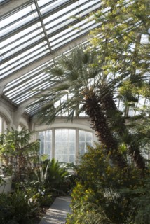 Kew Gardens, 2009. Creator: Ethel Davies.