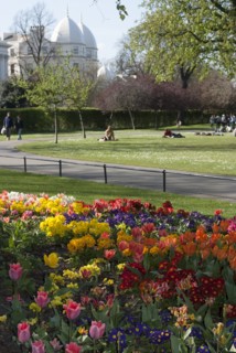 Regent's Park, 2009. Creator: Ethel Davies.