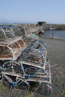Craster, 2006. Creator: Ethel Davies.