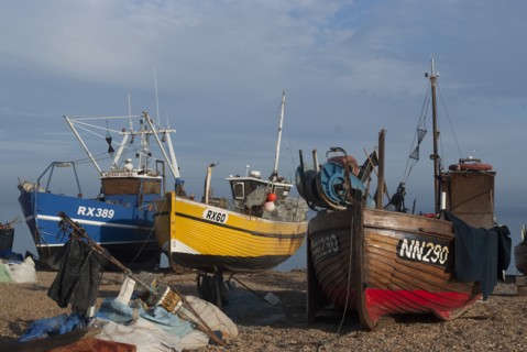 Hastings, 2009. Creator: Ethel Davies.