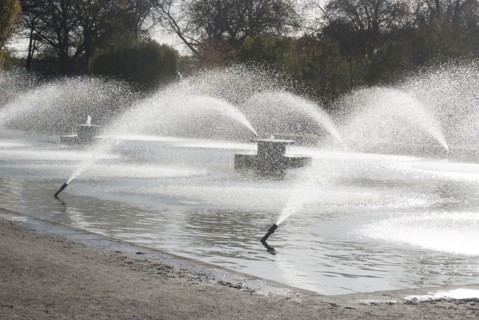 UK, London, Battersea Park, 2009. Creator: Ethel Davies.