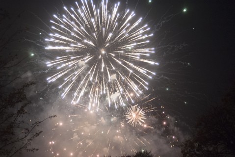 UK, London, Guy Fawkes, Ravenscourt Pk, 2009. Creator: Ethel Davies.