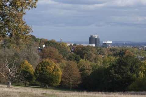 UK, London, Hampstead Heath, 2009. Creator: Ethel Davies.