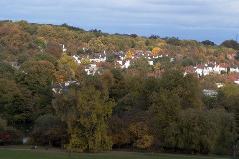 UK, London, Hampstead Heath, 2009. Creator: Ethel Davies.