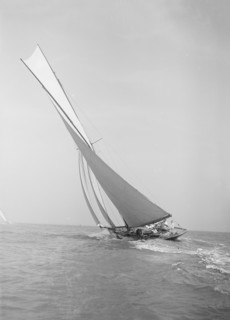 The 45 ton cutter 'Camellia' sailing close-hauled, 1911. Creator: Kirk & Sons of Cowes.