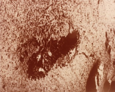 Trench excavated by surface sampler, Viking 1 Mission to Mars, 1976. Creator: NASA.