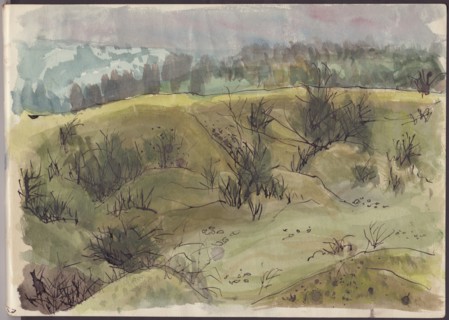 Landscape with bushes, Italy, c1950. Creator: Shirley Markham.
