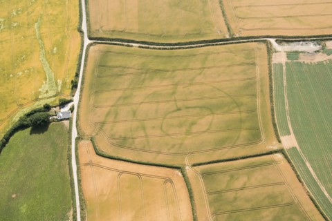 Prehistoric settlement, Lansallos, Cornwall, 2018