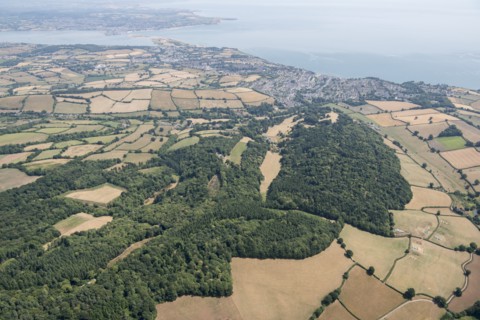 Landscape park and plantation at Luscombe Park, Devon, 2018