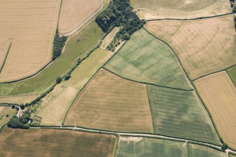 Prehistoric farms, Stogumber, Somerset, 2018