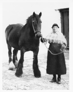 Mrs Mary Williams, Myddfai with 'Scott' the mare, c1970.