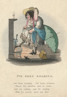 I've Been Roaming', 1828.