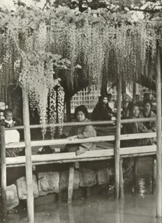 A Wisteria Arbour at Kameido', 1910.