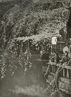 Cherry-Blossom Time in Japan', 1910.