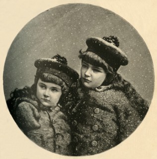 The Snow-Birds' Christmas-Tree', 1883.