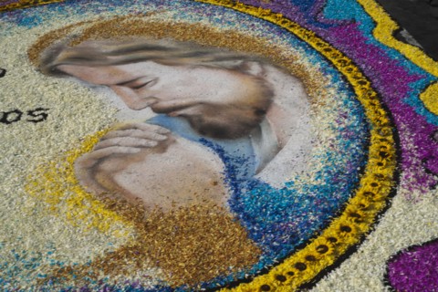 Holy Week Surco Flower Carpet, Lima, Peru, 2015.