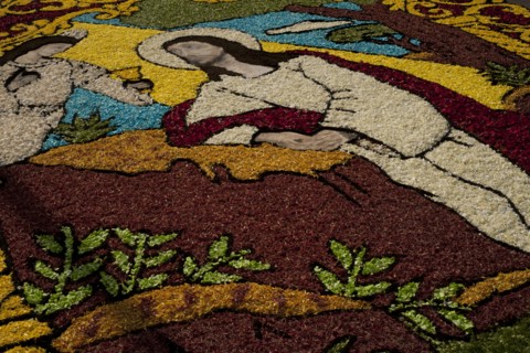 Holy Week Surco Flower Carpet, Lima, Peru, 2015.