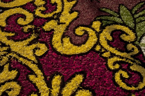 Holy Week Surco Flower Carpet, Lima, Peru, 2015.