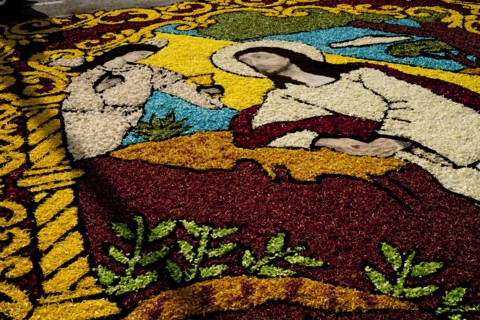 Holy Week Surco Flower Carpet, Lima, Peru, 2015.