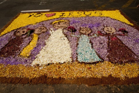 Holy Week Surco Flower Carpet, Lima, Peru, 2015.