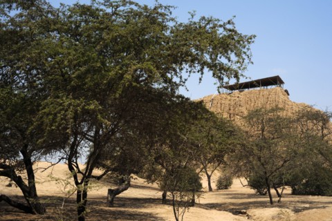 Valle de las Piramides, Tucume, Lambayeque, Peru, 2015.