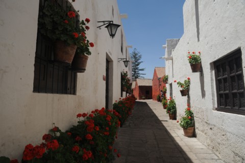 Santa Catalina Monastery, 2015.