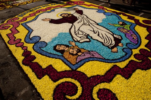 Holy Week Surco Flower Carpet, Lima, Peru, 2015.